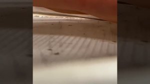 Накося, выкуси