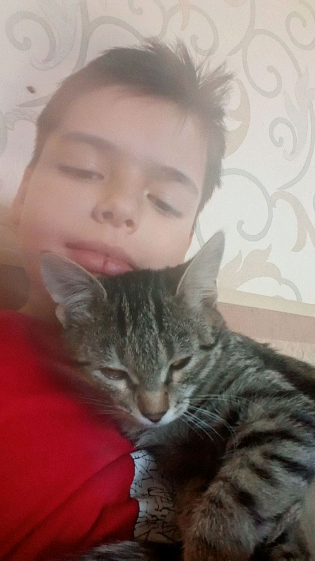 тумка смотреть онлайн