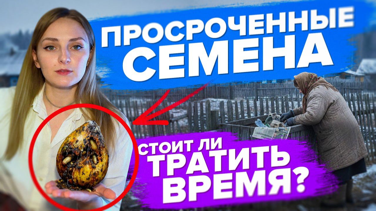 Можно ли сеять просроченные семена смотреть онлайн
