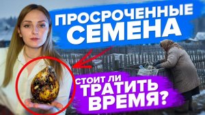 Можно ли сеять просроченные семена
