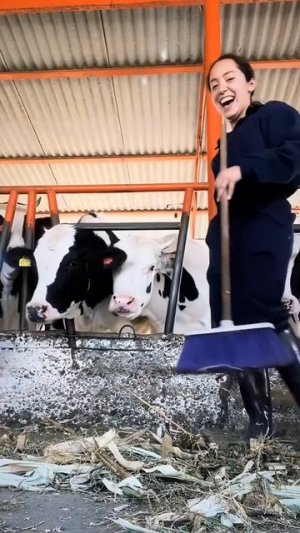 когда посмеялся над шуткой начальника.mp4