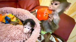 Люся со Степашкой вместе УЧАСТВУЮТ в РАСПАКОВКЕ ПОДАРКОВ)))