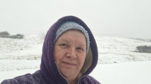 421. Привет из Крыма.  Опять метель...02.02.26.