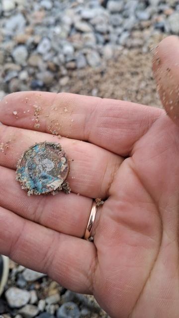 Шторм подарил находку!