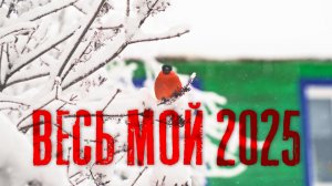 Весь мой 2025 | Видео под музыку