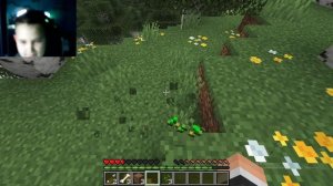 маинкрафт часть 2