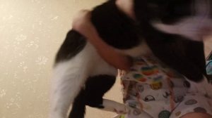 Алекс и гонщика