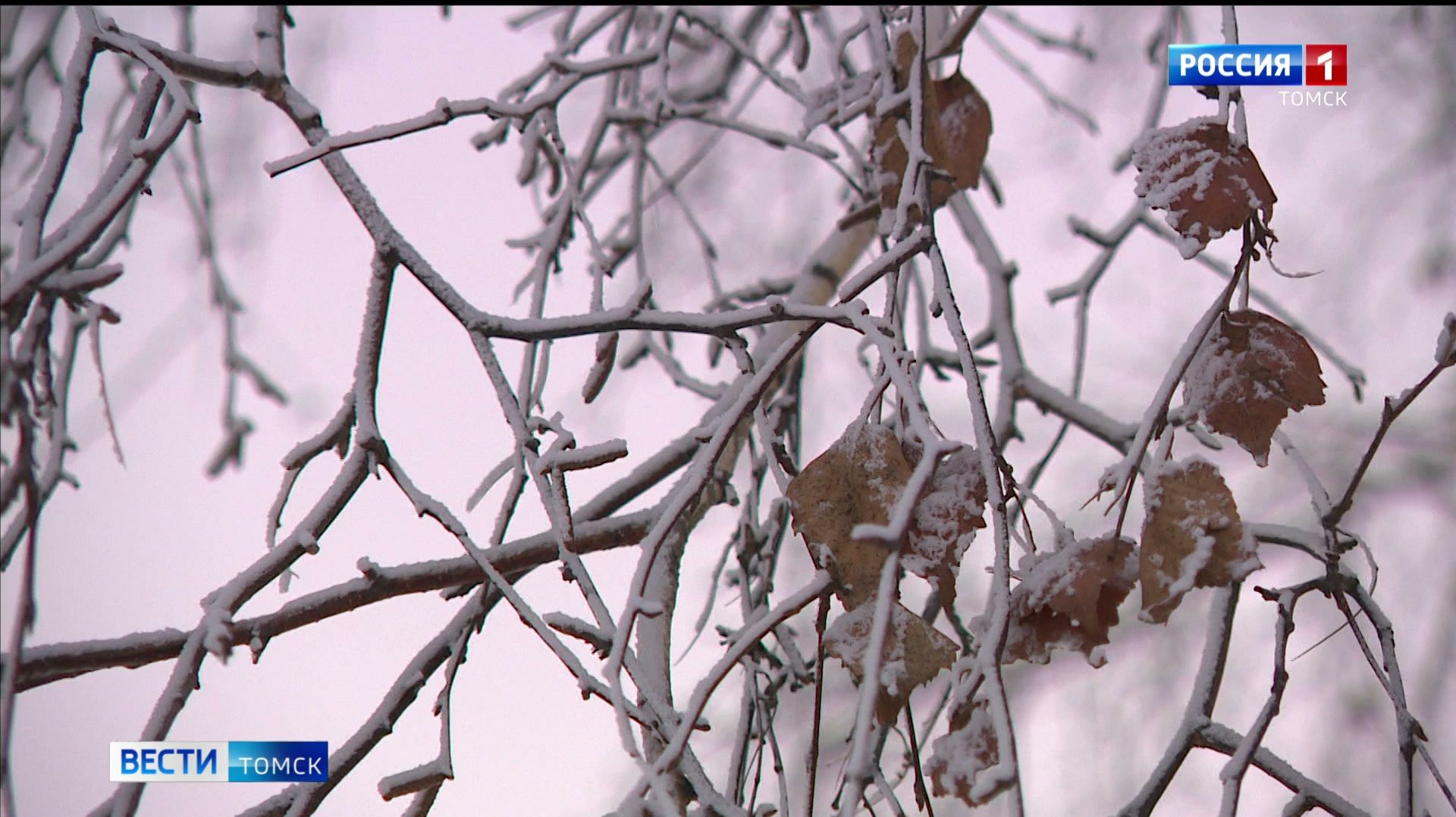 Вести-Томск, выпуск от 03.02.2026 11:30 смотреть онлайн