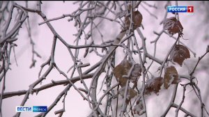 Вести-Томск, выпуск от 03.02.2026 11:30