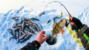 Скоростная ловля окуня: Мормышка и блесна в деле. Спортивная рыбалка на озере.