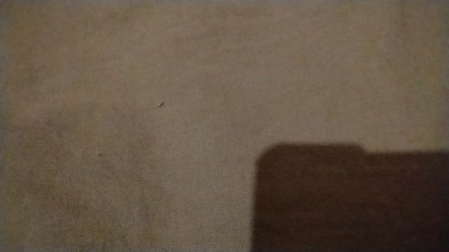 У меня наконец выпал зуб вчера утром ку-ка-ре-ку 🤣 2 февраля