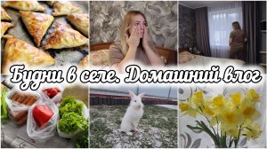 БУДНИ ДОМОХОЗЯЙКИ 🏠МЫ ОШИБЛИСЬ🙈РАСПАКОВКА🛍ГОТОВЛЮ🍽
