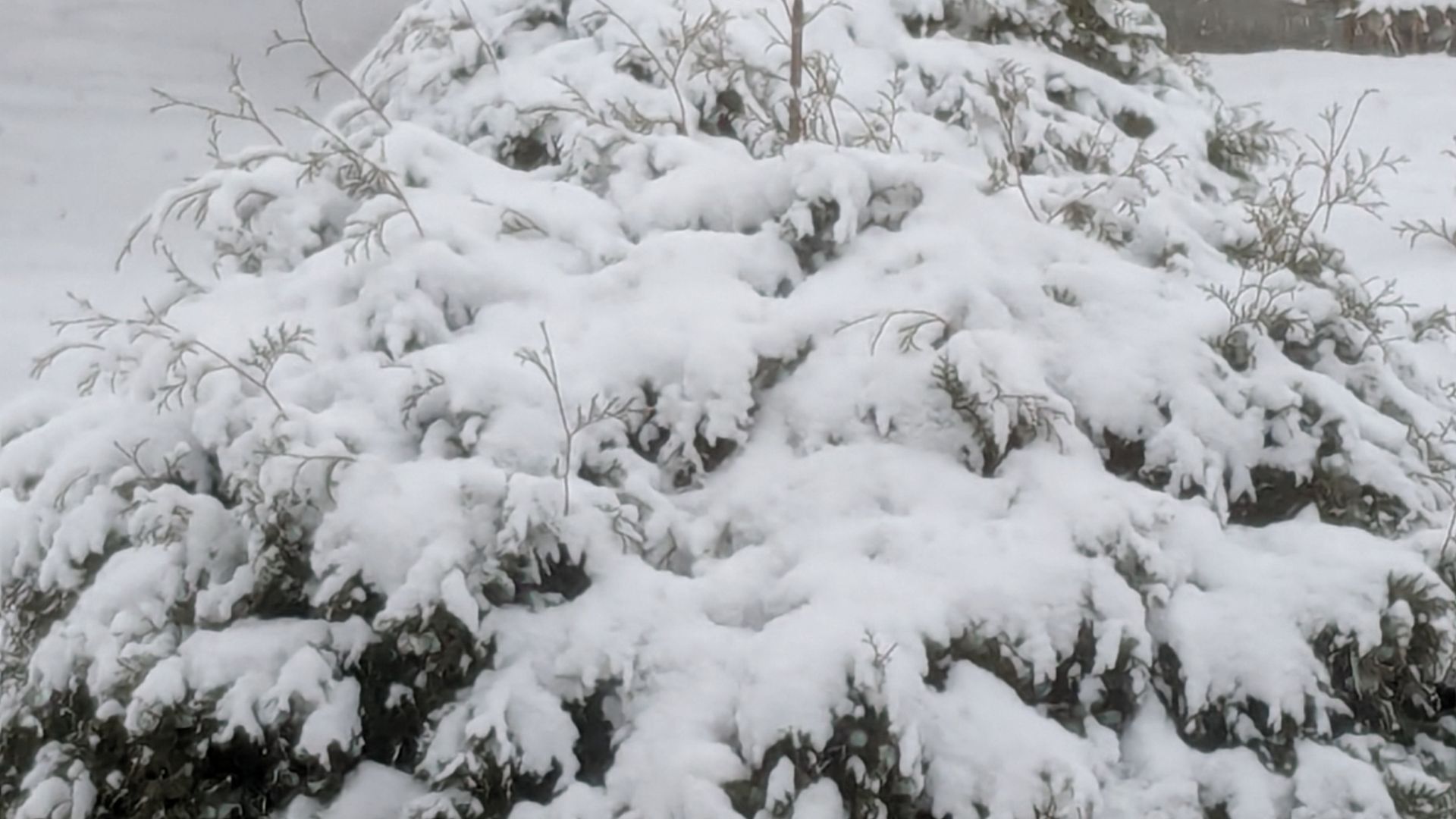 Вкусный салатик из простых овощей. смотреть онлайн