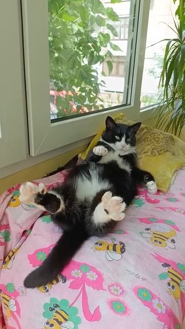 Отдыхает смотреть онлайн