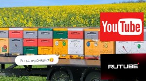 Выехал на рапс, 16.04.2025