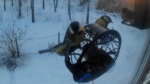 Балдуин и его свита