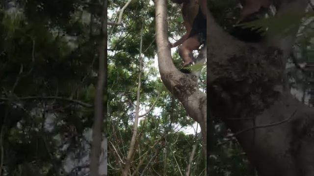 Тайский друг