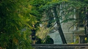 Мой дом моя крепость