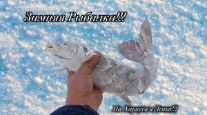 Настоящая Зимняя Рыбалка 2026! На Хариуса и Ленка!!!🎣✊️