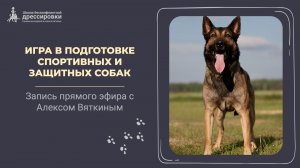 Игра в спорте и защите | Алекс Вяткин