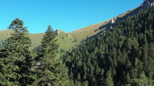 В Сочи взыскали ущерб, нанесенный национальному парку