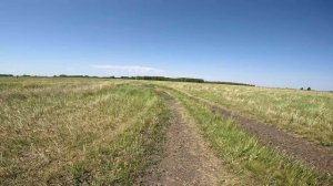 Лето. Степь. Прогулка по степной дороге.