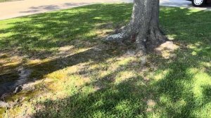 Дом в АМЕРИКЕ#8 Продолжаем обустройство, очень нужная покупка и новый опыт( Мошковы в США)