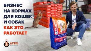 Свой бизнес на кормах для кошек и собак. От А до Я.