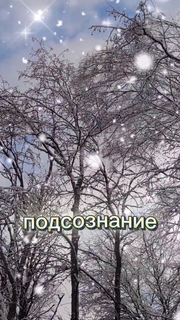 3 февраля 2026