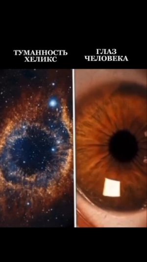 Мир прекрасен. И мы часть этого чуда.