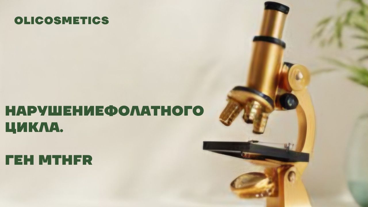 Нарушения фолатного цикла/ген MTHFR
