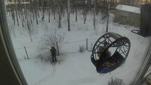 Шар-Синица крошит семечку