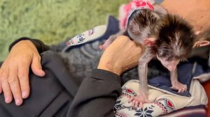 Влад лег поспать, но Степашка УМНЫЙ, он знает как не дать папе спать)))