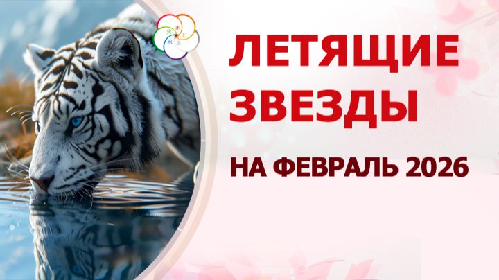 ФЭН ШУЙ 2026: прогноз по летящим звездам на ФЕВРАЛЬ 2026 смотреть онлайн