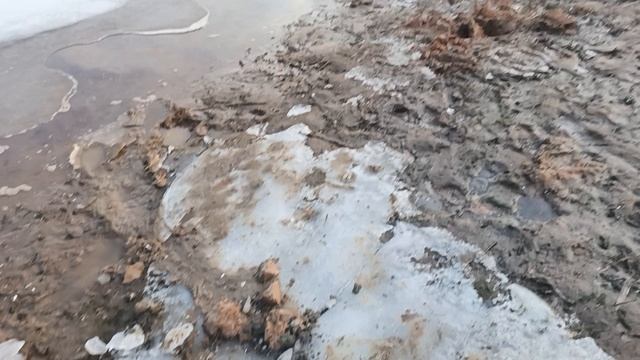 Золотое кольцо на пляже!