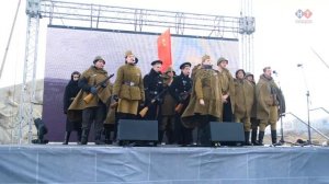 Белые чайки