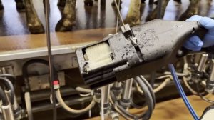 Опыт фермера: работа скруббера на практике