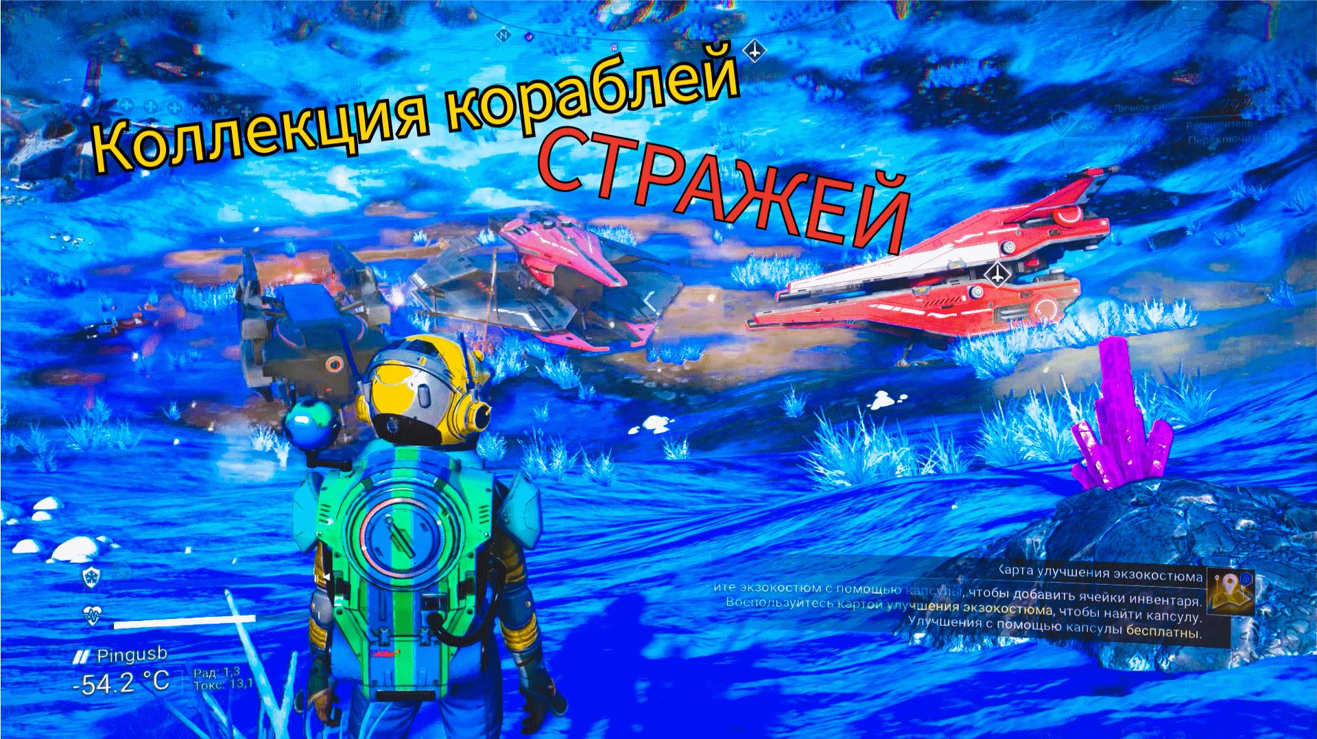 No Man's Sky, Коллекция кораблей СТРАЖЕЙ