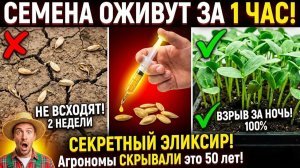 ДАЖЕ МЕРТВЫЕ СЕМЕНА ВЗОЙДУТ ЗА ЧАС! Секретный состав СССР агрономы просто в ШОКЕ!