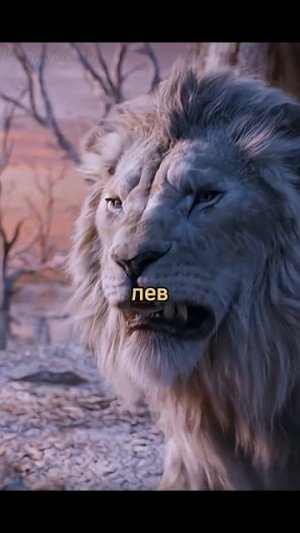 Разозлил короля 🦁😨 #фильм #сериал #shorts