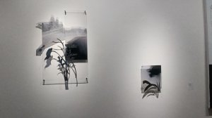 Прогулки по Москве. Выставка Полины Шилкините "Ноктюрн" в галерее Триумф