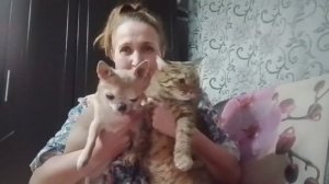 День сурка.Небольшой обзор фильма "День Сурка"/Маська ненавидит Лёмку/Личная жизнь/Провинция/Россия