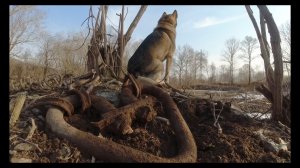 Выйхал на поиски.Тревожная инфа.Весений выезд