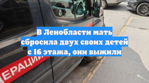 Под Петербургом мать сбросила двоих детей с 16 этажа, малыши выжили