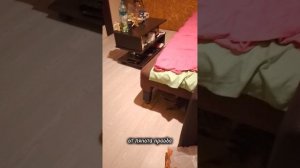 Встреча лучших друзей у нас дома))