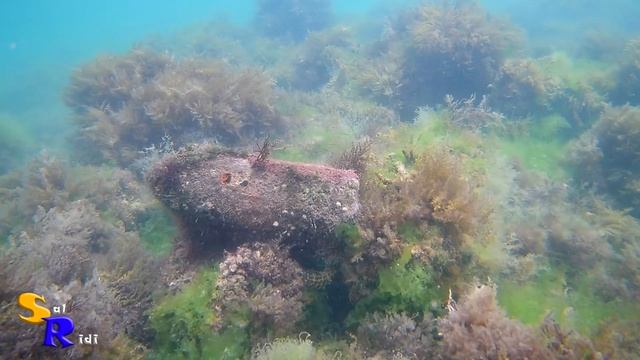 Дорогая находка. Подводный поиск.