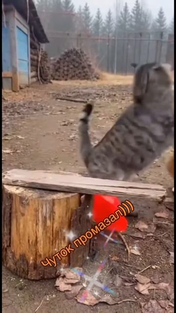 Чуток промахнулся)