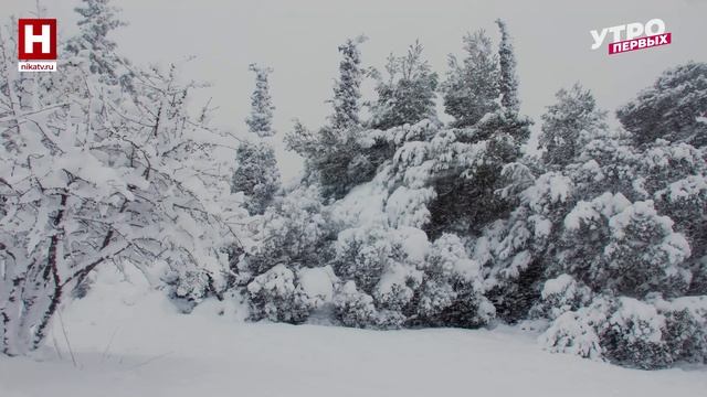 Зимние хлопоты садовника | ПРО ЦВЕТ