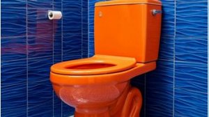 ПОСЛЕДОВАТЕЛЬНОСТЬ: Демонтаж старого и установка нового унитаза.