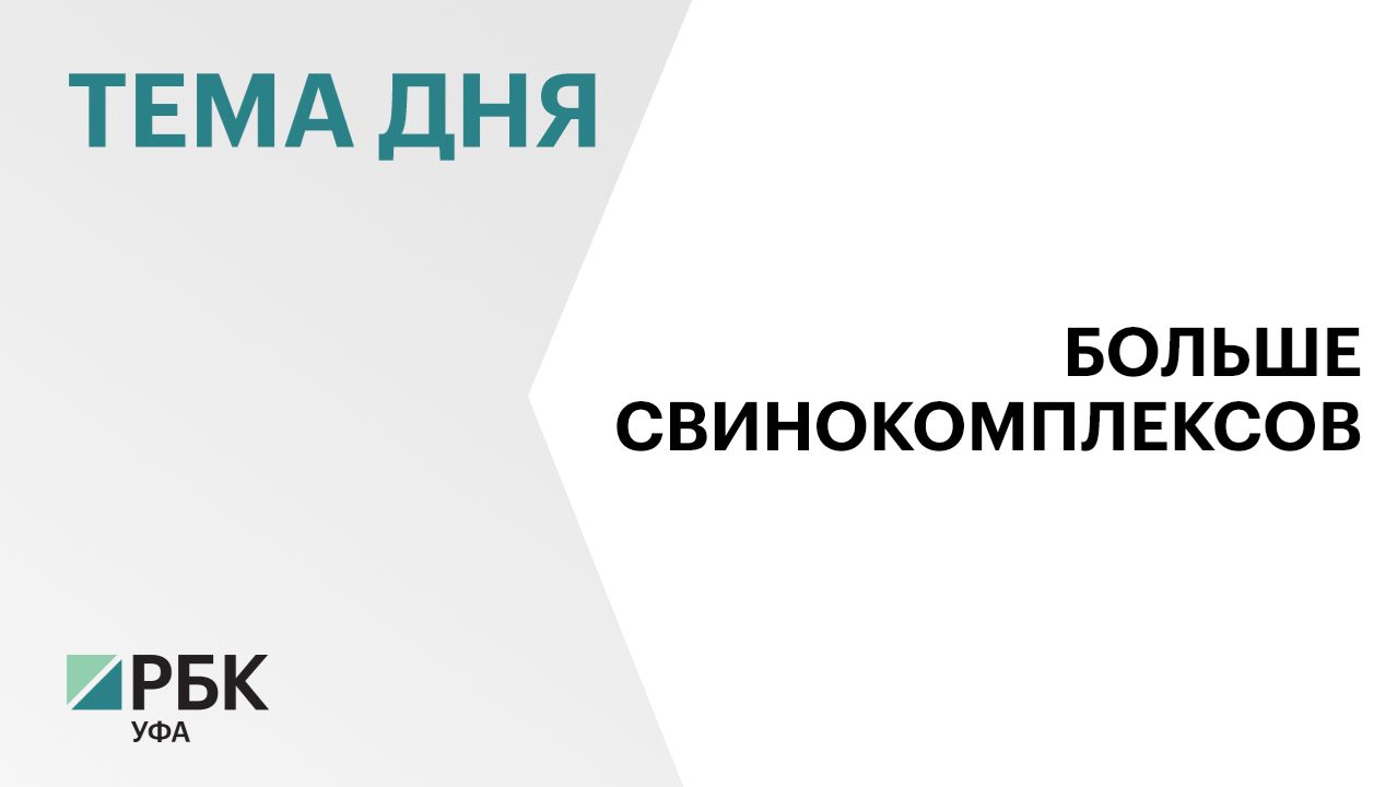 В Башкортостане производство свинины выросло почти в 1,5 раза за 6 лет смотреть онлайн